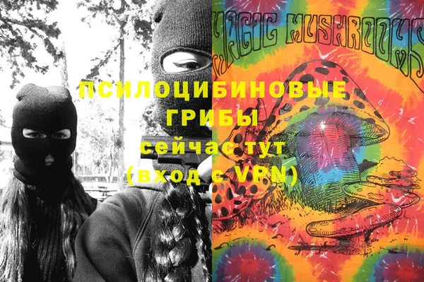 молекула духа Алексин