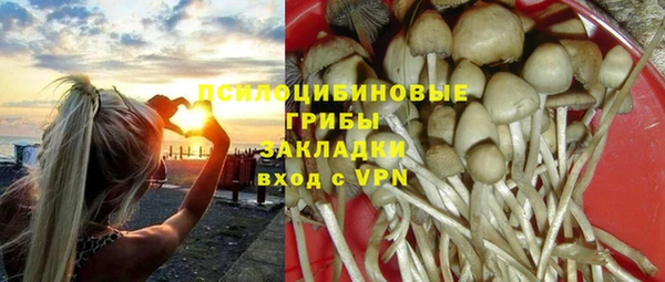 экстази Арсеньев