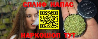 прущие грибы Бийск