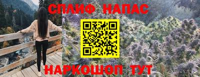 прущие грибы Бийск