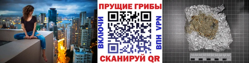 дарк нет Telegram  Асбест  Псилоцибиновые грибы GOLDEN TEACHER 