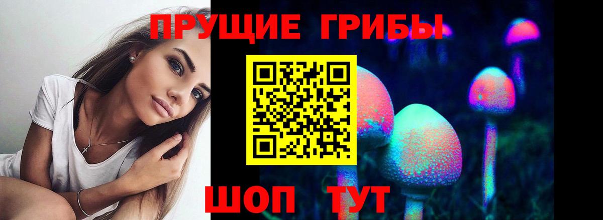 где купить наркотик  Галлюциногенные грибы Magic Shrooms  Псилоцибиновые грибы мицелий  Вход с VPN  Асбест 